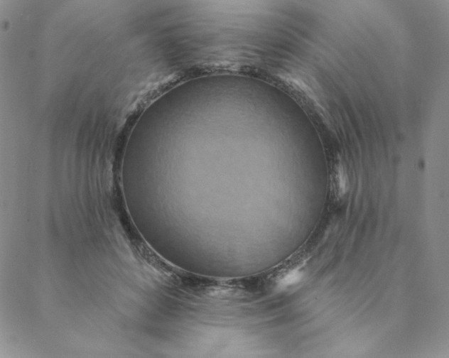 X0000088630504200706081550