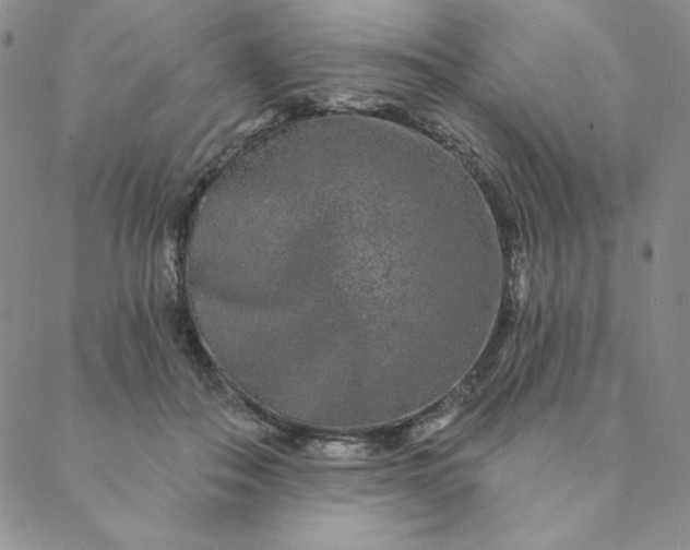 X0000088630506200706081550