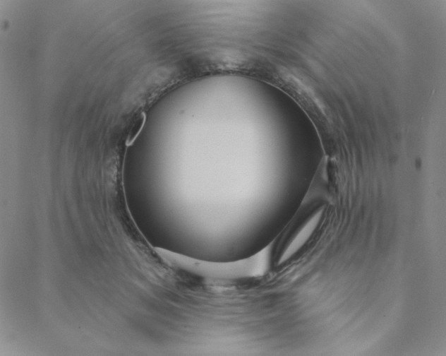 X0000088630509200706081550