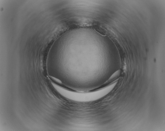 X0000088630512200706081550