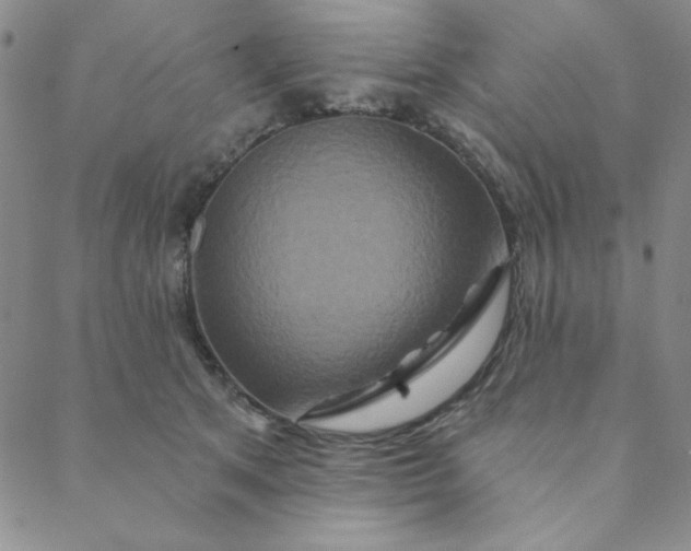 X0000088630513200706081550