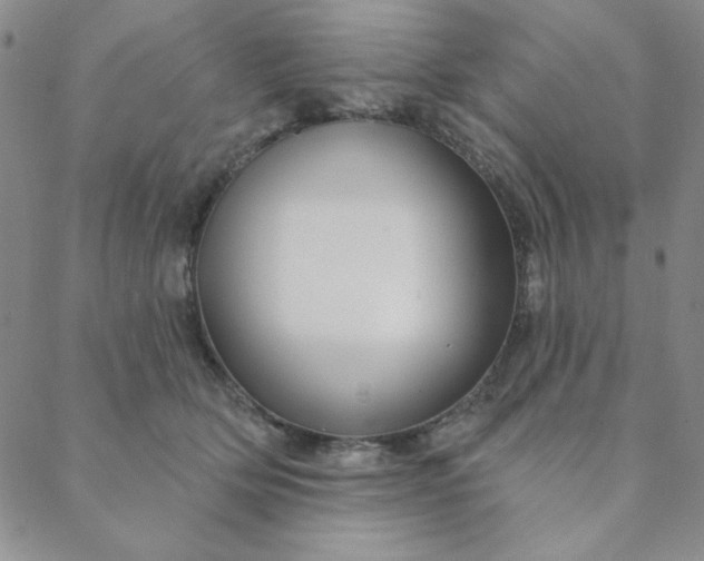 X0000088630514200706081550