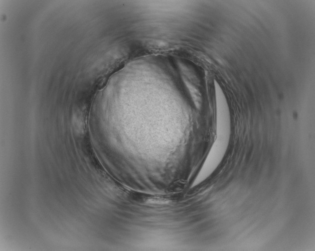 X0000088630515200706081550