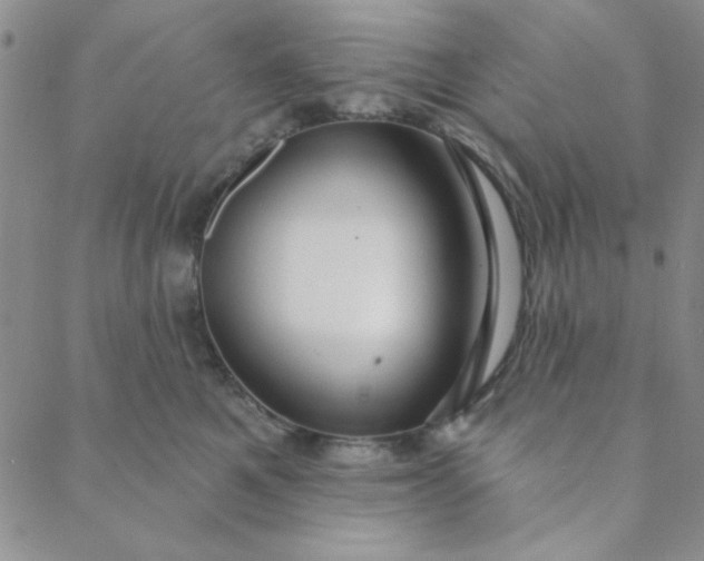 X0000088630521200706081550