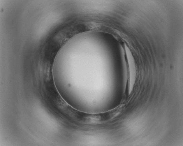 X0000088630525200706081550