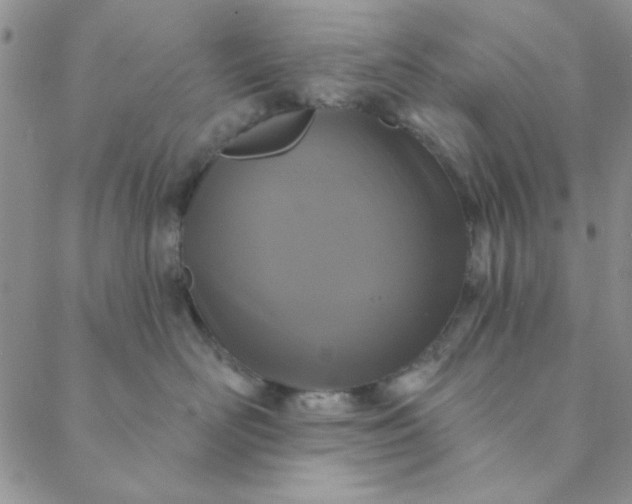 X0000088630526200706081550