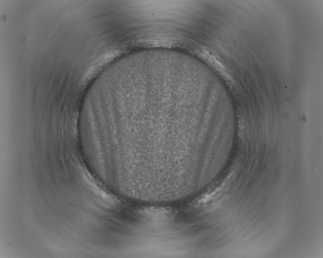 X0000088630537200706081549