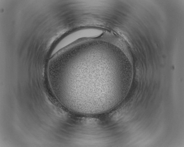 X0000088630539200706081549