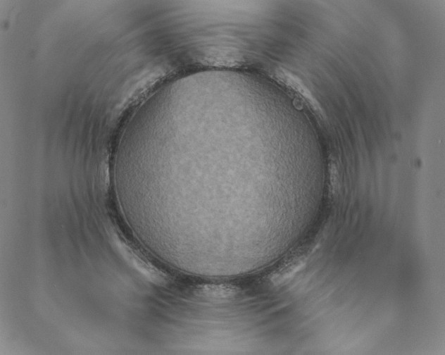 X0000088630541200706081549