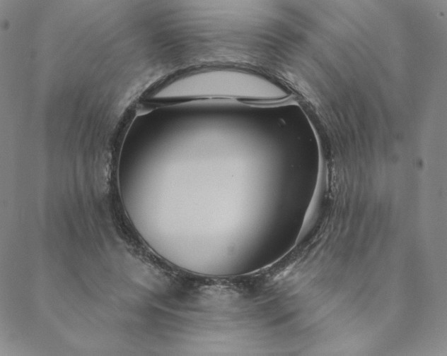 X0000088630544200706081549
