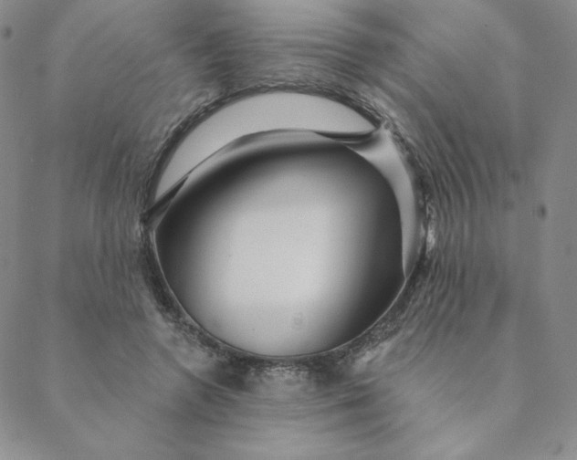 X0000088630546200706081549