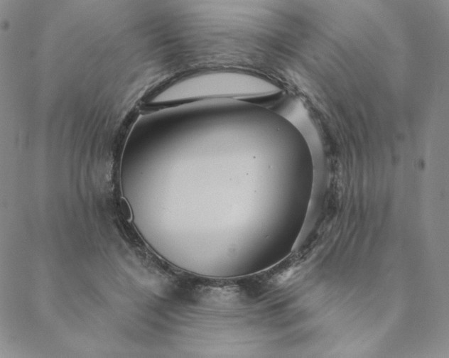 X0000088630548200706081549
