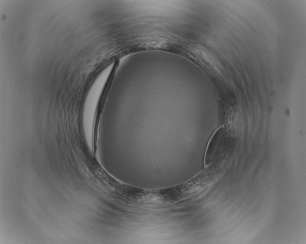 X0000088630551200706081549
