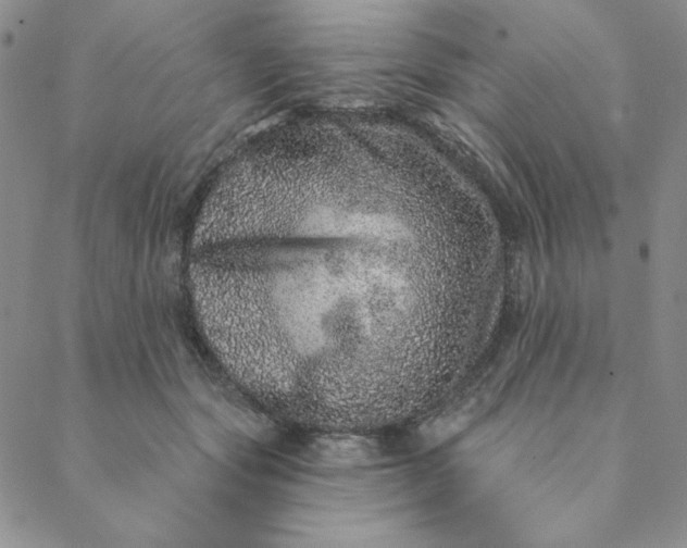 X0000088630557200706081550