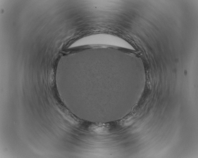 X0000088630563200706081550