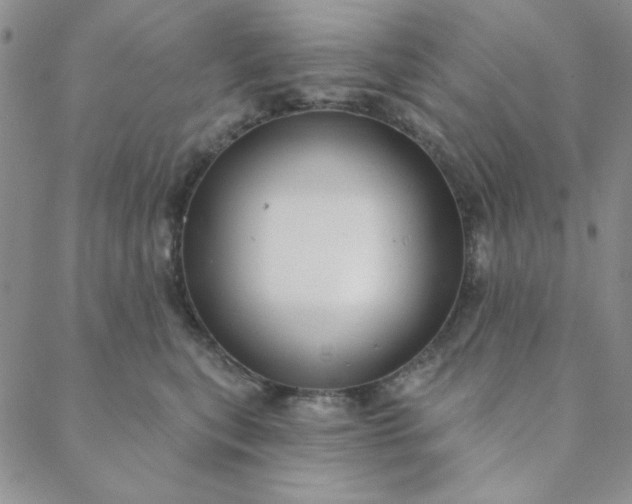 X0000088630567200706081550