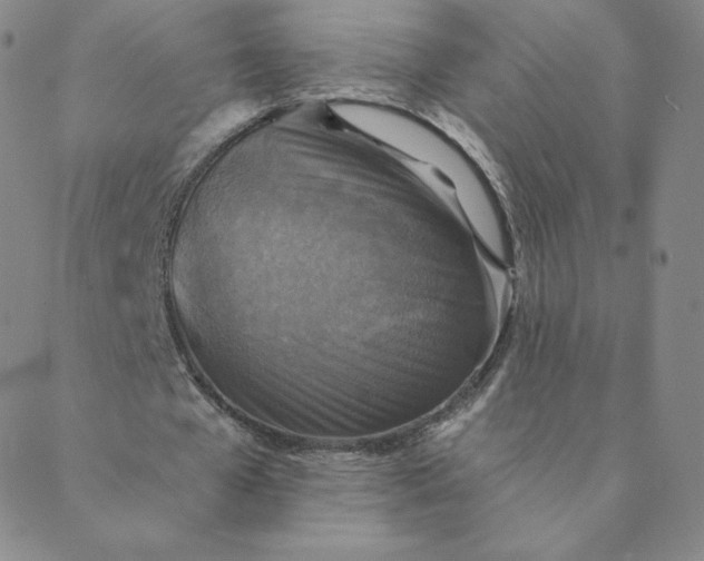 X0000088630577200706081549