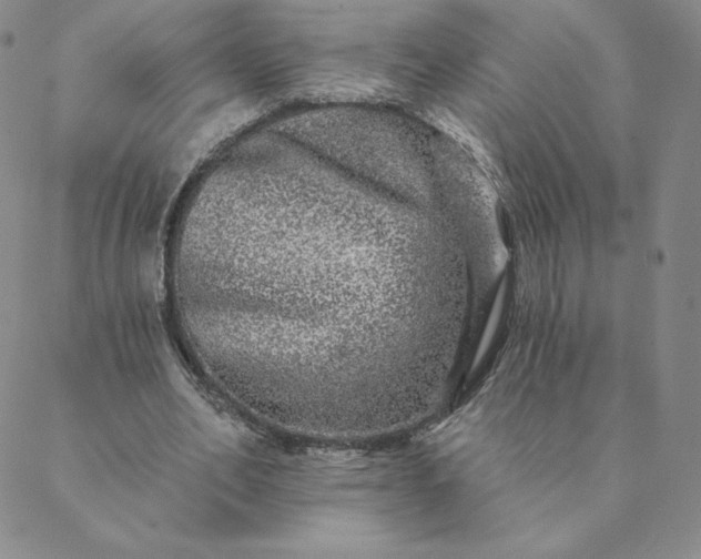 X0000088630582200706081549
