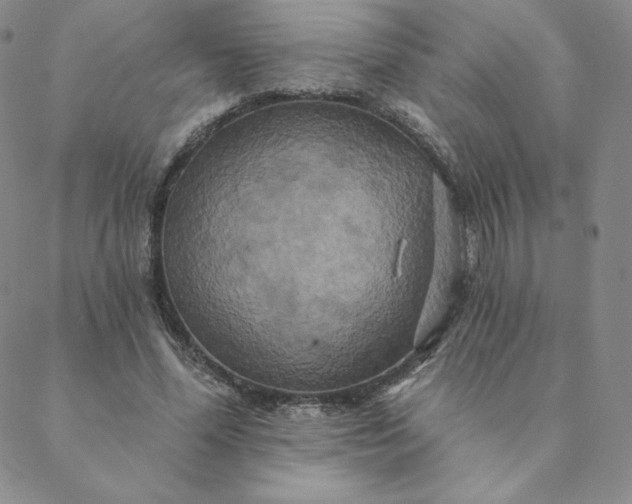 X0000088630588200706081549