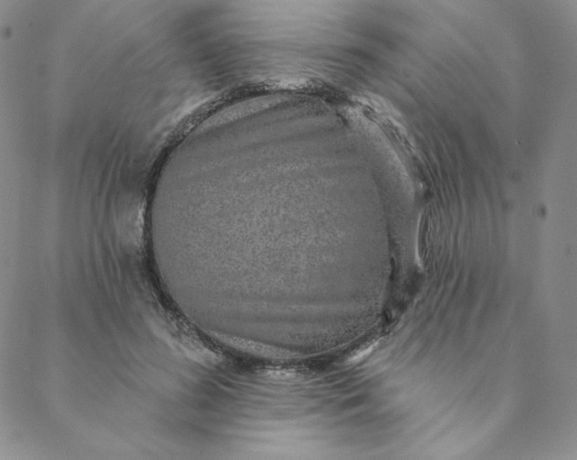 X0000088630596200706081549