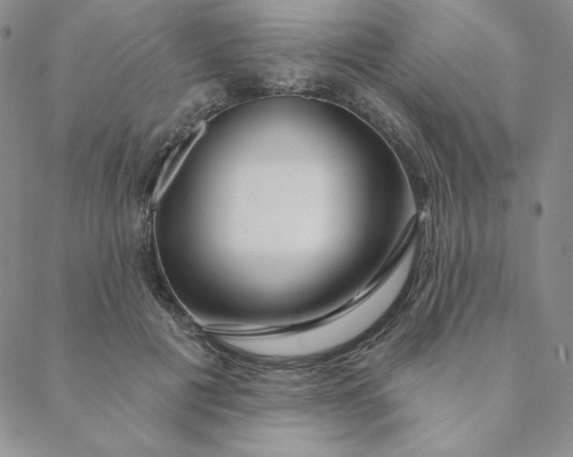 X0000088630601200706081549