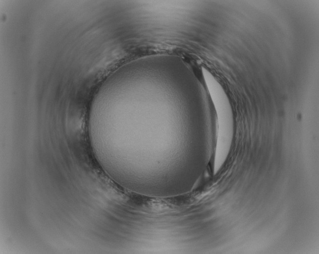 X0000088630608200706081549