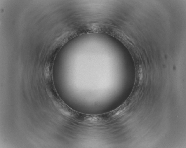 X0000088630611200706081548