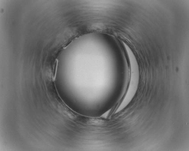 X0000088630617200706081548