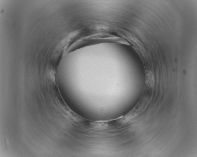 X0000088630621200706081548