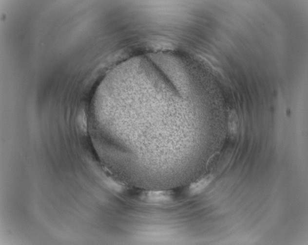 X0000088630622200706081548