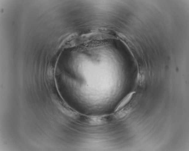 X0000088630623200706081548