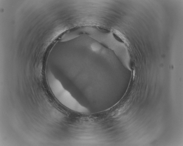 X0000088630627200706081548
