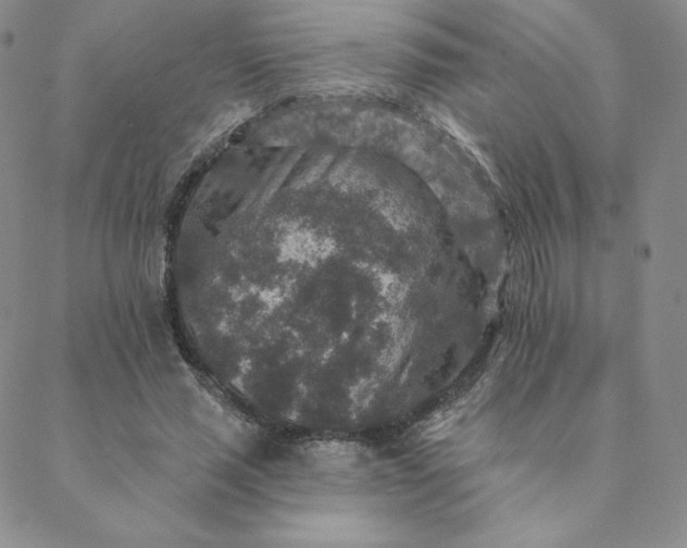 X0000088630637200706081548