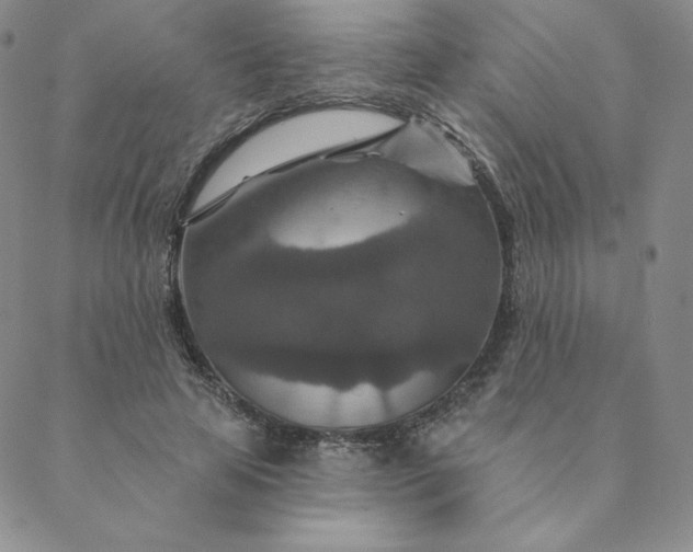X0000088630641200706081548
