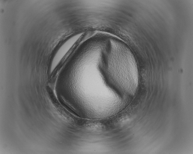 X0000088630642200706081548