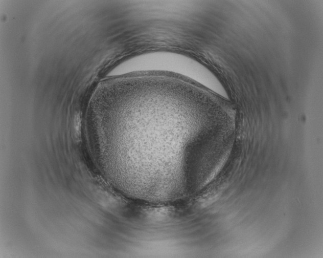 X0000088630646200706081548