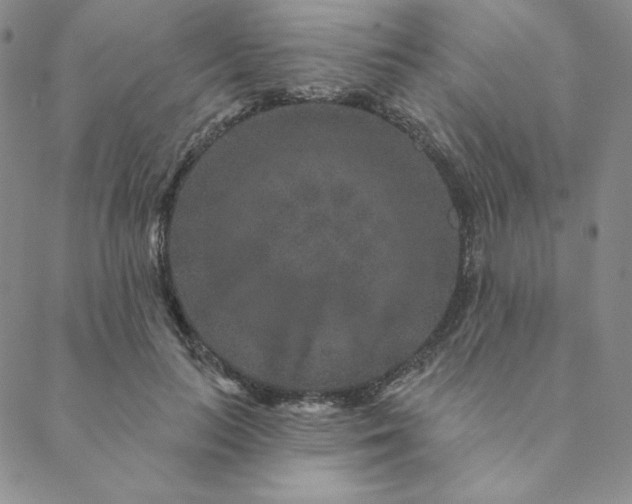 X0000088630647200706081548