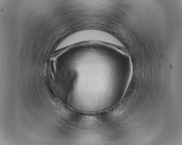 X0000088630649200706081548