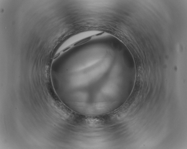 X0000088630650200706081548
