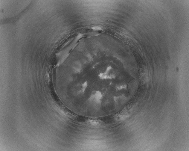 X0000088630654200706081548