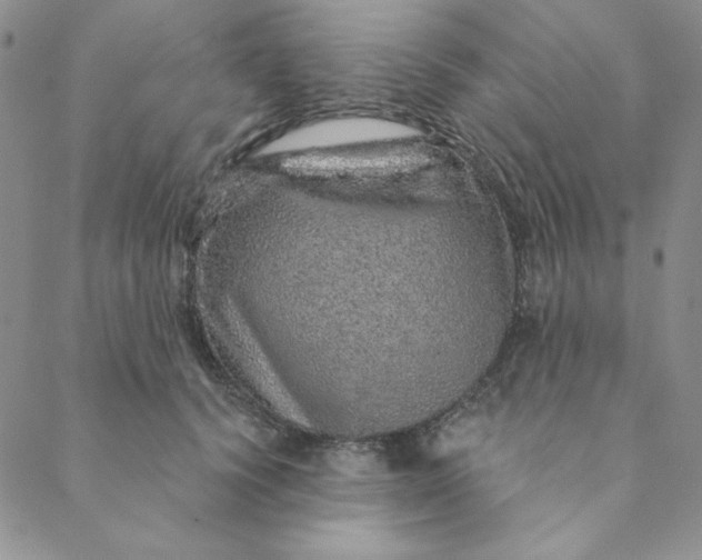 X0000088630656200706081548