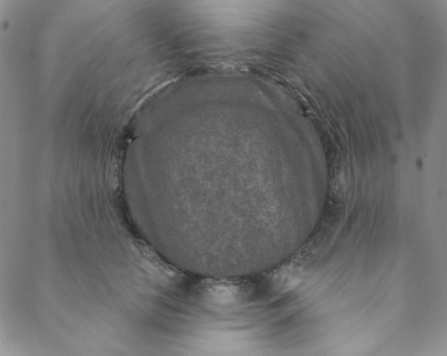X0000088630658200706081548