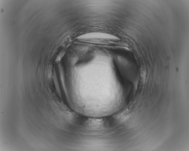 X0000088630665200706081548