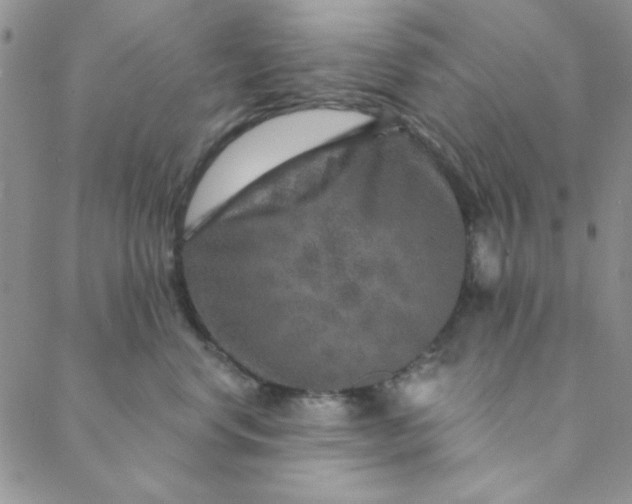 X0000088630668200706081548