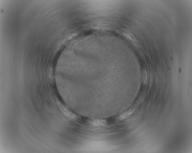 X0000088630670200706081548