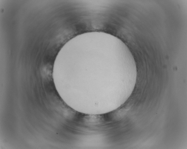 X0000088630672200706081548