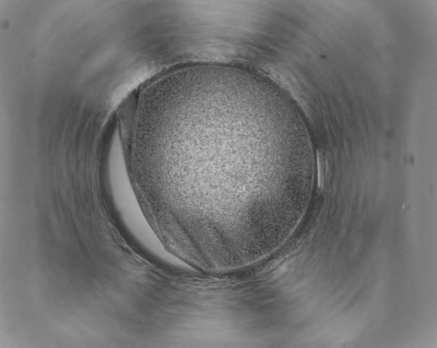 X0000088630675200706081547