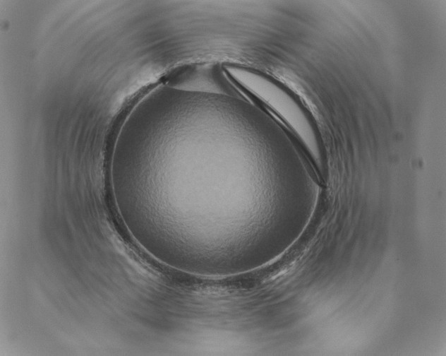 X0000088630677200706081547