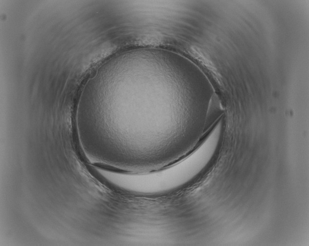 X0000088630681200706081547