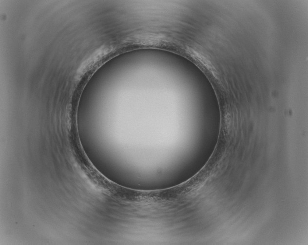 X0000088630682200706081547